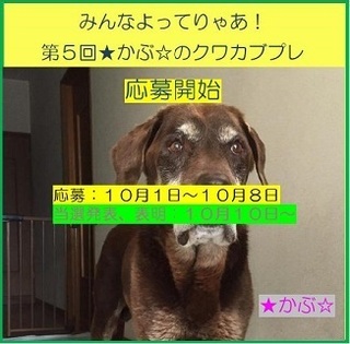 20170930235817498.jpg