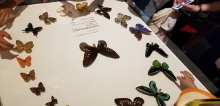 20180715_123756.jpg