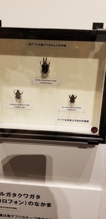 20180715_124046.jpg
