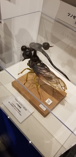20180715_124150.jpg