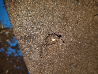 20180811_075923.jpg