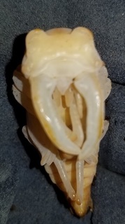 20180909_194843.jpg