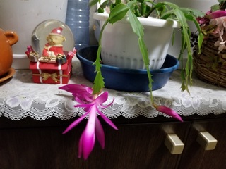 20181206_220431.jpg