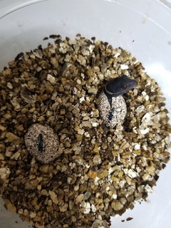 20190611_221636.jpg