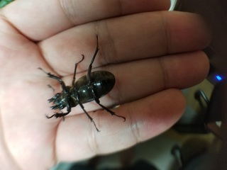 20190810_162704.jpg